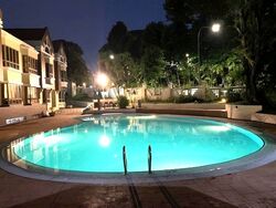 Cavenagh Lodge (D9), Apartment #601545341